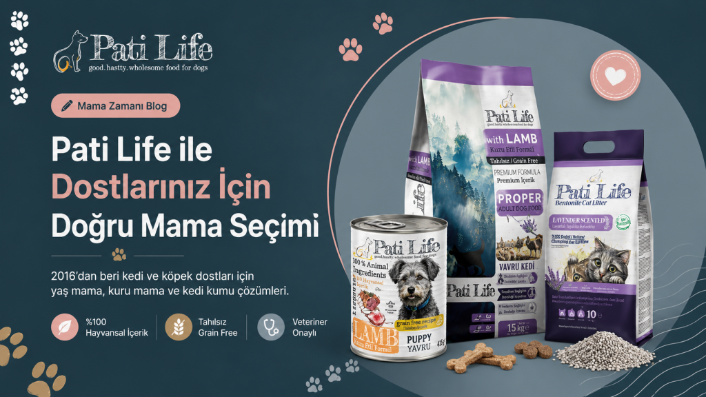 Pati Life Mama Zamanı Hakkımızda